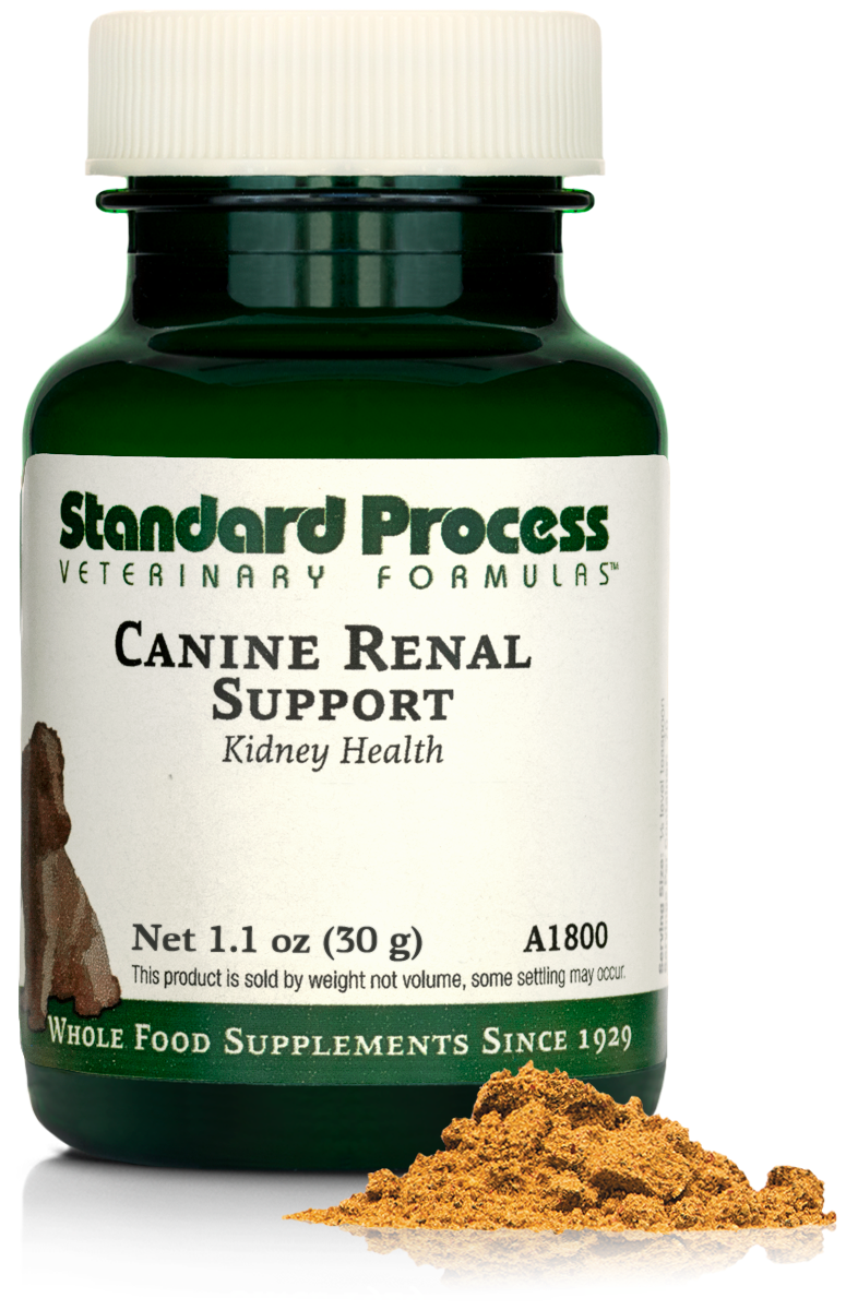 Canine Renal Support, 1.1 oz (30 g) – Holistic Veterinary Options
