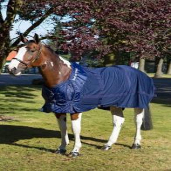 Back on Track Therapeutic Mesh Sheet