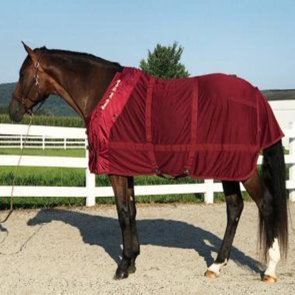 Back on Track Therapeutic Mesh Sheet