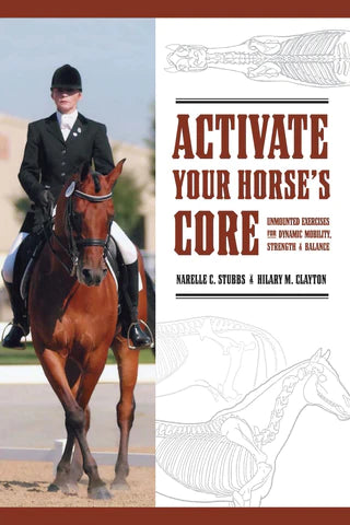 Stretches and Core Building Exercises for the Horse