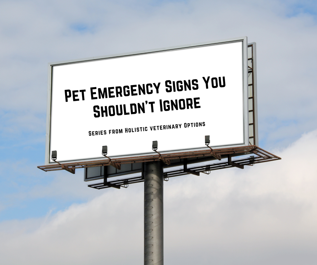 Pet Emergency Signs You Shouldn’t Ignore – Part 1