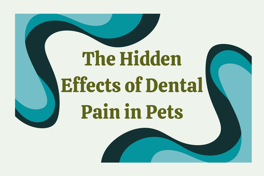 The Hidden Effects of Dental Pain in Pets