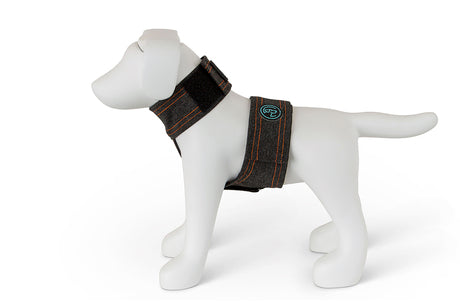 Calmer Canine Anxiety Treatment System - Vest only
