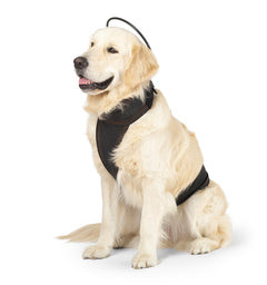 Calmer Canine Anxiety Treatment System - Device with Vest