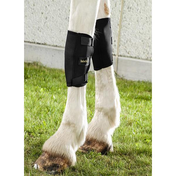 Back on Track Therapeutic Horse Knee Boots